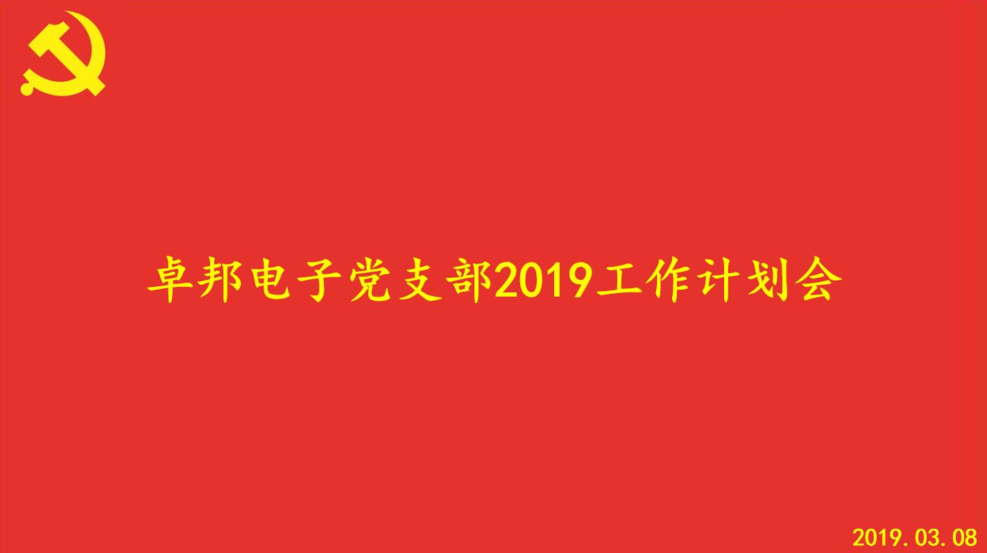 樱桃视频免费下载版电子党支部2019工作计划会顺利召开